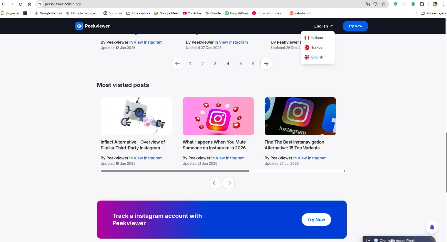 PeekViewer Blog screenshot 2