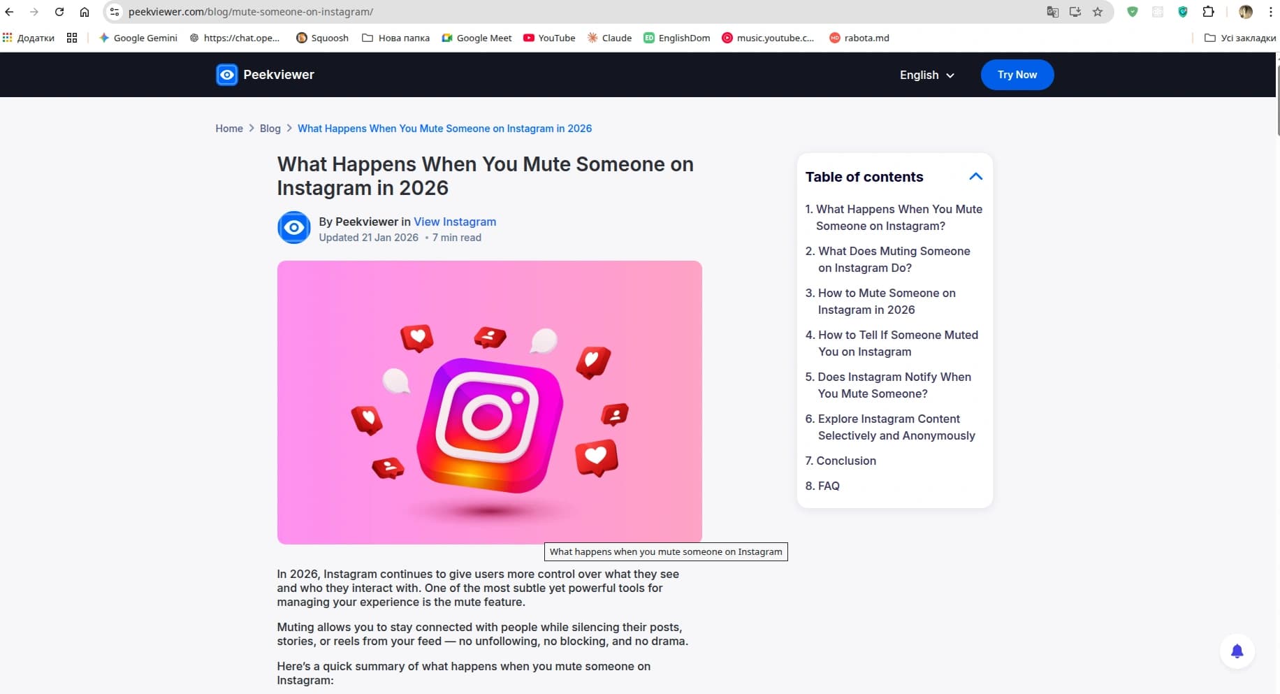 PeekViewer Blog screenshot 3