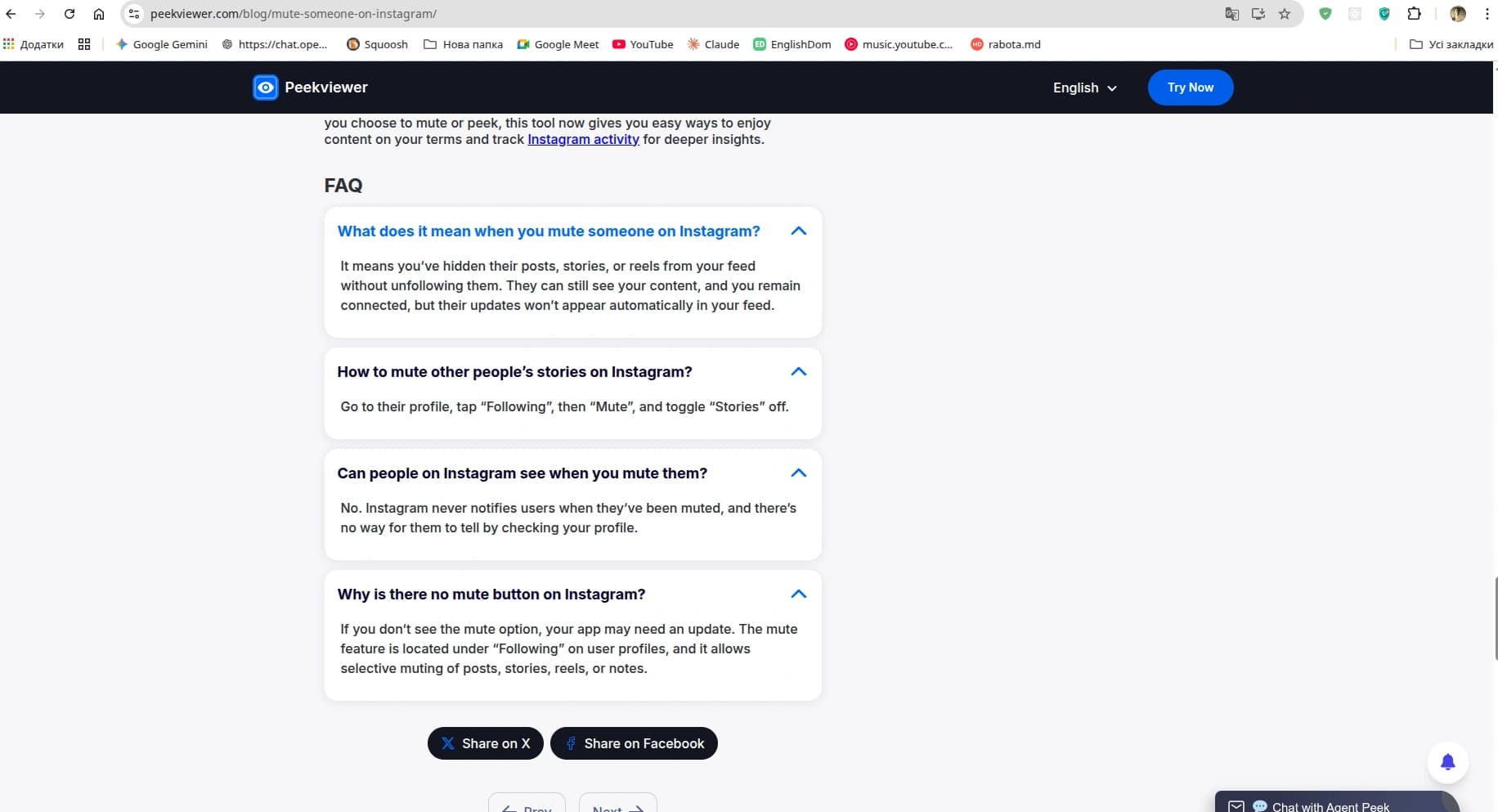 PeekViewer Blog screenshot 4