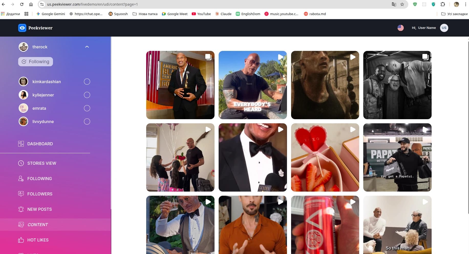 PeekViewer Live Demo screenshot 4